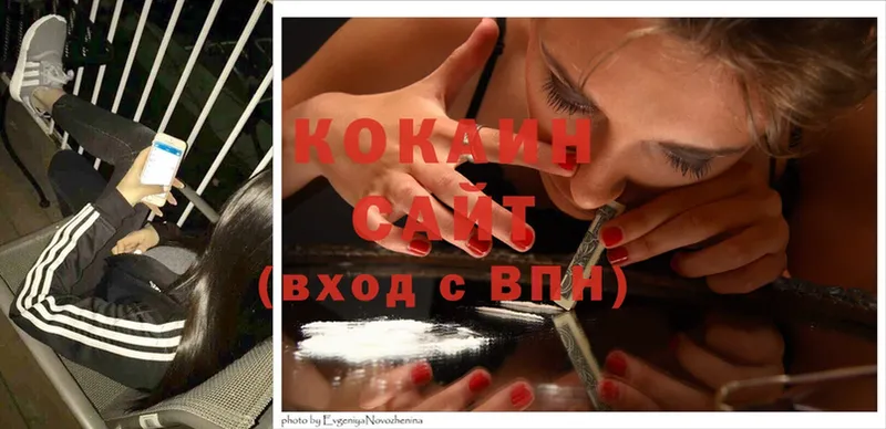 КОКАИН Fish Scale  Анива 