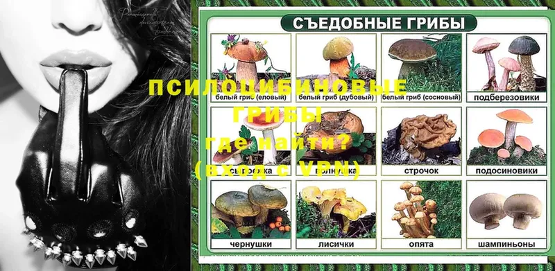 Псилоцибиновые грибы Psilocybine cubensis  shop как зайти  Анива 